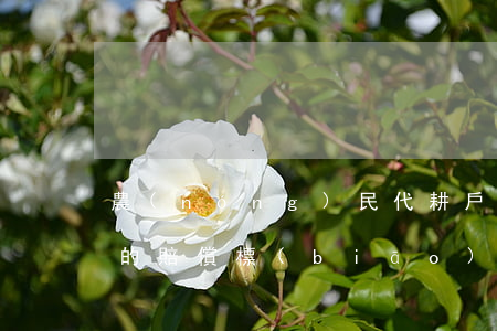 農(nóng)民代耕戶遣散費(fèi)的賠償標(biāo)準(zhǔn)新規(guī)(農(nóng)民代耕戶遣散費(fèi)的賠償標(biāo)準(zhǔn)新規(guī))