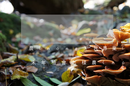 農(nóng)民專業(yè)合作社逾期未年檢會怎樣(農(nóng)業(yè)專業(yè)合作社如何年檢)