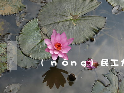 農(nóng)民工九級傷殘一共賠多少錢