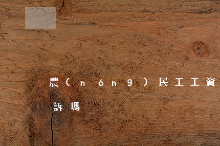 農(nóng)民工工資可以找律師代理上訴嗎