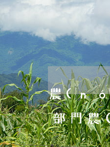 農(nóng)民工工資拖欠怎么辦找哪個部門(農(nóng)民工工資拖欠怎么辦找哪個部門建)