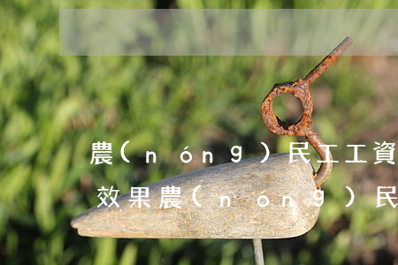 農(nóng)民工工資欠條怎么打有法律效果(農(nóng)民工欠薪工資條怎么打)