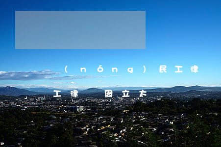 農(nóng)民工律師(農(nóng)民工律師周立太)