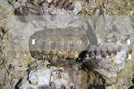 農(nóng)民工欠條怎么寫有效(農(nóng)民工的欠款條應(yīng)該怎么寫)