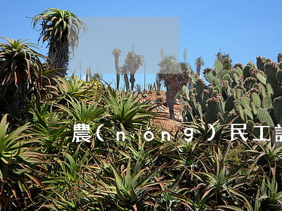 農(nóng)民工討薪