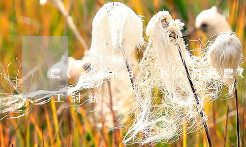 農(nóng)民工討薪(農(nóng)民工討薪)