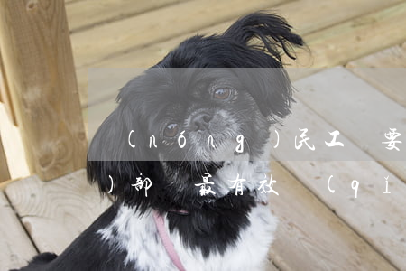 農(nóng)民工討要工資找哪個(gè)部門最有效(請(qǐng)問一下,農(nóng)民工討要工資該怎么去要)