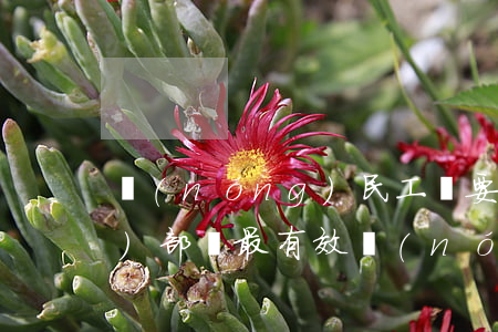 農(nóng)民工討要工資找哪個(gè)部門最有效(農(nóng)民工討工錢找什么部門)