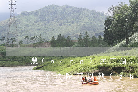 農(nóng)民工預(yù)儲(chǔ)金法院可以執(zhí)行嗎(農(nóng)民工預(yù)儲(chǔ)金誰來繳納)
