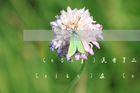 農(nóng)民有了二胎想離婚怎么辦(現(xiàn)在農(nóng)村生二胎都有什么政策)