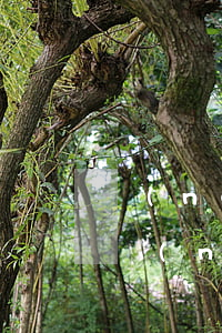 農(nóng)民欠銀行貸款還不上怎么辦(農(nóng)民欠款太多還不上怎么辦)