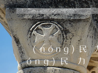 農(nóng)民無力償還事故賠償(農(nóng)民無力償還事故賠償多少)
