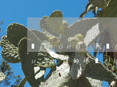 農(nóng)民環(huán)境權(quán)的保護(hù)