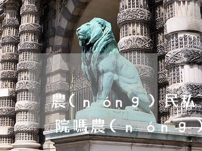 農(nóng)民私下買賣土地可以起訴法院嗎(農(nóng)村私人土地買賣合法嗎)
