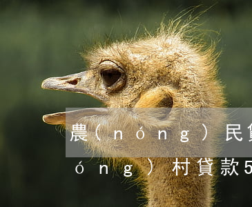 農(nóng)民貸款5萬無力償還 農(nóng)村貸款5萬