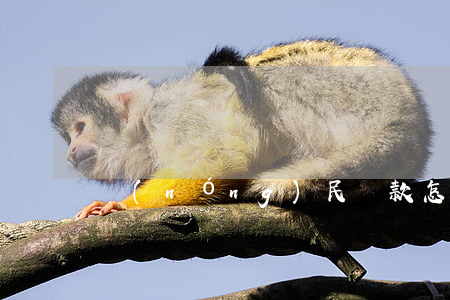 農(nóng)民貸款怎么貸