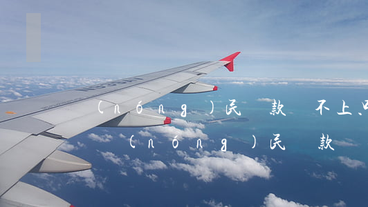 農(nóng)民貸款還不上只還本金可以嗎(農(nóng)民貸款還不上只還本金可以嗎怎么辦)