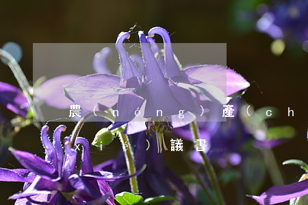 農(nóng)產(chǎn)品合作協(xié)議書