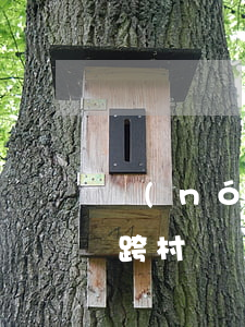 農(nóng)田使用權(quán)可以跨村組繼承嗎