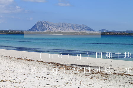 農(nóng)田和土地可以繼承嗎(農(nóng)村田可以繼承嗎)