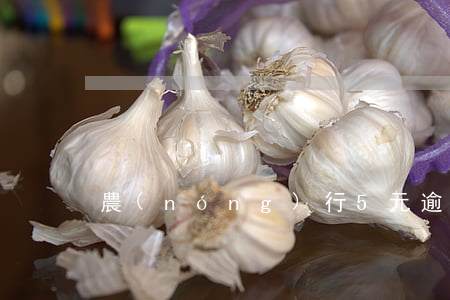 農(nóng)行5元逾期一個(gè)月