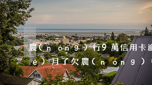 農(nóng)行9萬信用卡逾期三個(gè)月了(欠農(nóng)行信用卡8萬加逾期共十萬還不是)
