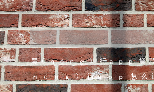 農(nóng)行app貸款逾期還貸(農(nóng)行app怎么還貸款)