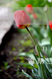 農(nóng)行信用卡2萬(wàn)五逾期三個(gè)月