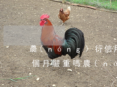農(nóng)行信用卡6000千逾期五個月嚴重嗎（農(nóng)行信用卡6000千逾期五個月）