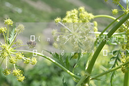 農(nóng)行信用卡7千逾期2年(中國農(nóng)業(yè)銀行信用卡逾期兩萬 一年沒還)