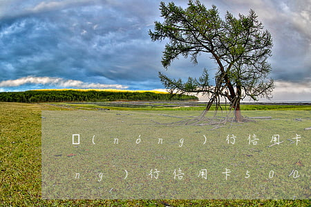 農(nóng)行信用卡一次逾期(農(nóng)行信用卡5000逾期6個(gè)多月)