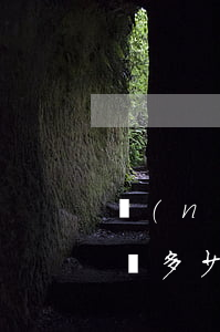 農(nóng)行信用卡一萬二逾期五年要換多少錢