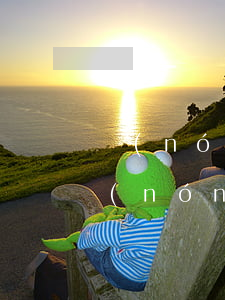 農(nóng)行信用卡不小心逾期幾天(農(nóng)商行信用卡逾期兩天會(huì)有不良記錄嗎)