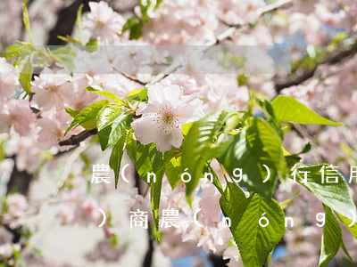 農(nóng)行信用卡不接受協(xié)商(農(nóng)行信用卡不接受協(xié)商還款)