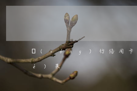 農(nóng)行信用卡不還什么結(jié)果