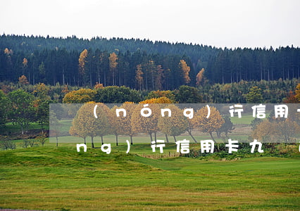 農(nóng)行信用卡九萬逾期(農(nóng)行信用卡九萬逾期)
