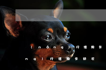 農(nóng)行信用卡初次額度(農(nóng)行信用卡初次額度)