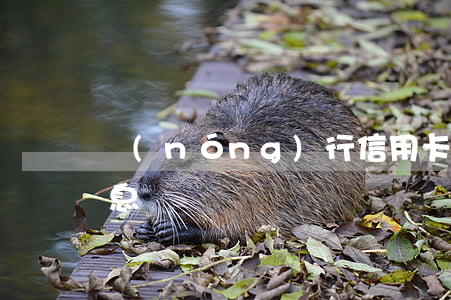 農(nóng)行信用卡利息-信用卡有利息嗎?