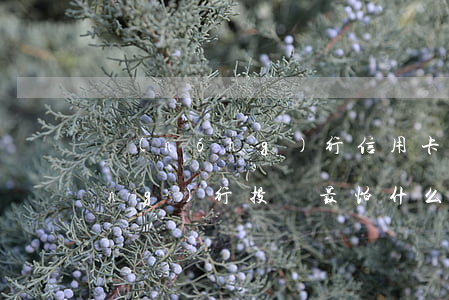 農(nóng)行信用卡利息投訴(農(nóng)行投訴最怕什么)
