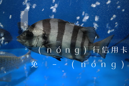 農(nóng)行信用卡卡逾期利息可以減免嗎-農(nóng)行信用卡卡逾期利息可以減免嗎多少