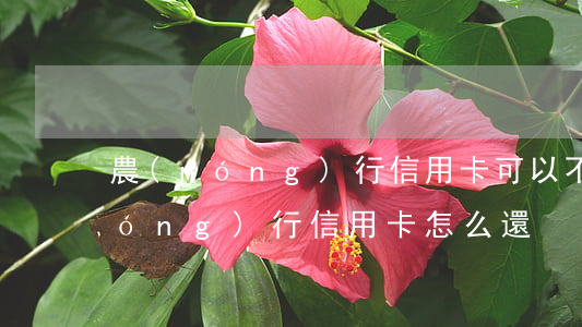 農(nóng)行信用卡可以不還嗎(農(nóng)行信用卡怎么還)