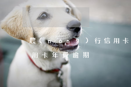 農(nóng)行信用卡因年費逾期證明(信用卡 年費逾期)