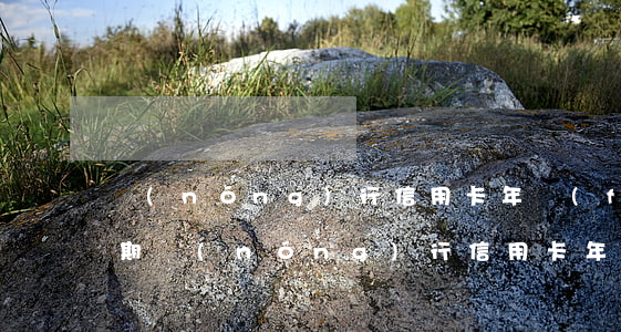 農(nóng)行信用卡年費(fèi)逾期(農(nóng)行信用卡年費(fèi)逾期9個(gè)月)