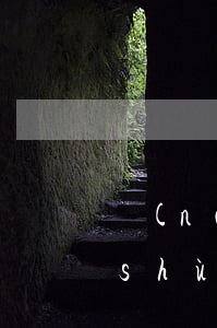 農(nóng)行信用卡怎么查逾期天數(shù)