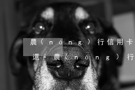 農(nóng)行信用卡樂卡分期還款怎么還-農(nóng)行信用卡樂卡分期還款怎么還的