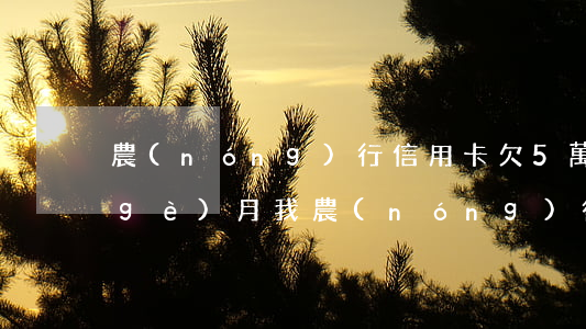 農(nóng)行信用卡欠5萬逾期4個(gè)月(我農(nóng)行信用卡20000逾期4個(gè)多5個(gè)月了)