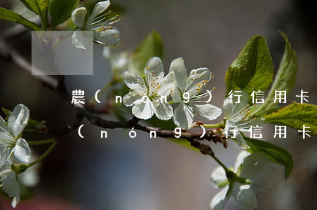 農(nóng)行信用卡欠費(fèi)(農(nóng)行信用卡欠費(fèi)被起訴后還能協(xié)商不)