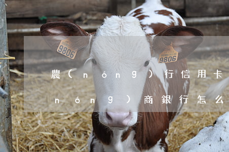 農(nóng)行信用卡沒錢還怎么辦(農(nóng)商銀行怎么還信用卡)