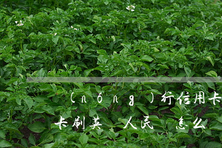農(nóng)行信用卡能透支英鎊嗎(信用卡刷英鎊人民幣怎么還)
