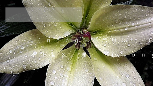 農(nóng)行信用卡臨時(shí)還不上怎么辦理-農(nóng)行信用卡39000臨時(shí)65000